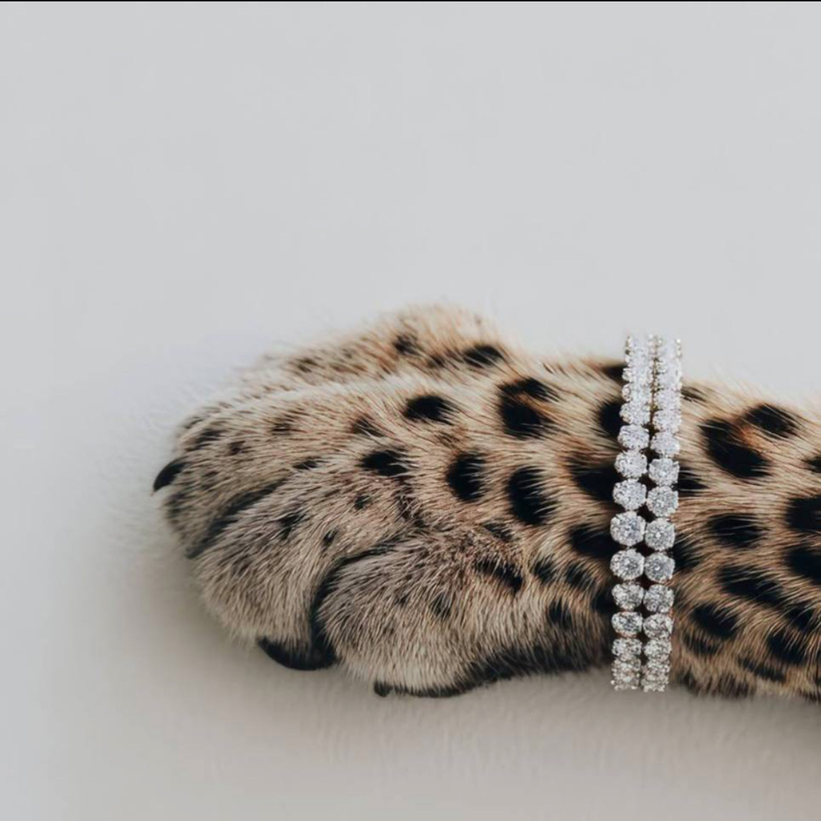 Как красиво и дороХобогато