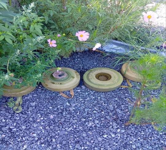 Фото: администрация Курска