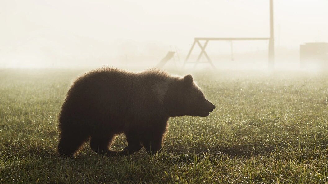    Фото: Andrey Ivanov/Global Look Press