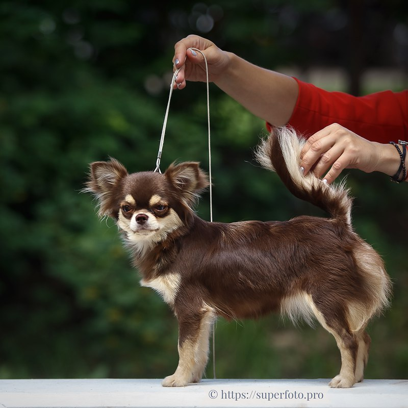 Фото предоставлено Еленой Збарской