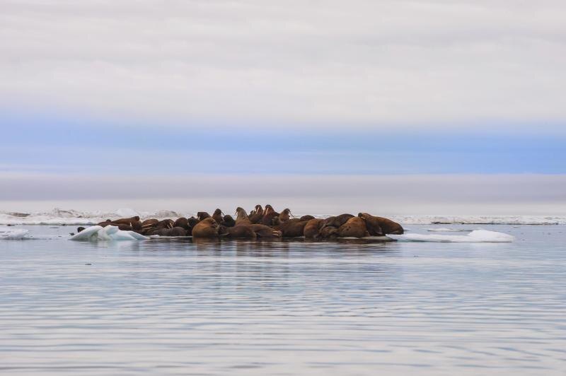    Фото: GTW/Globallookpress