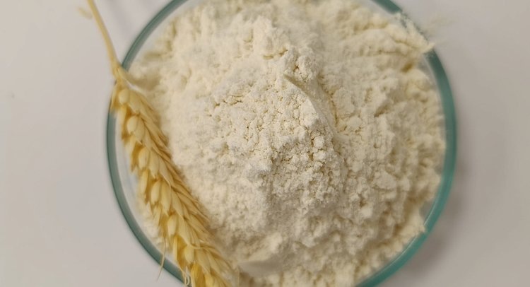    Фото: ФГБУ ЦОК АПК