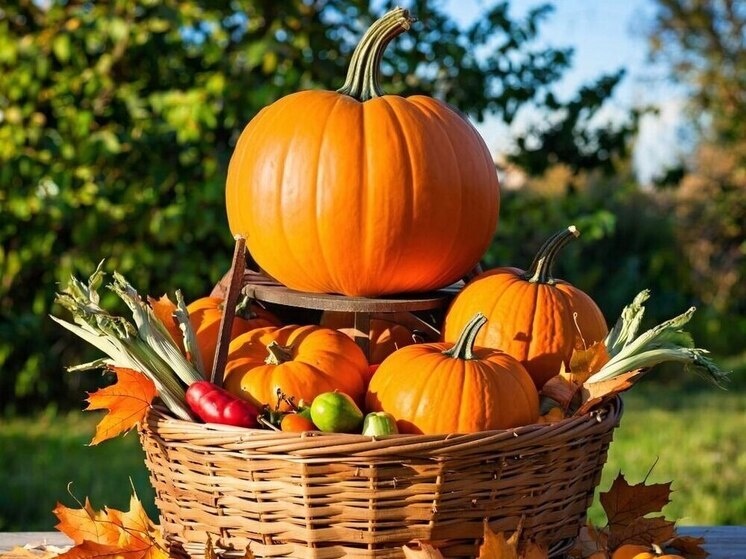 Источник: GigaChat