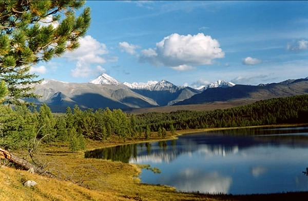 В Сибири пропал поезд с 43 людьми. На месте — ни обломков, ни следов. Что произошло?