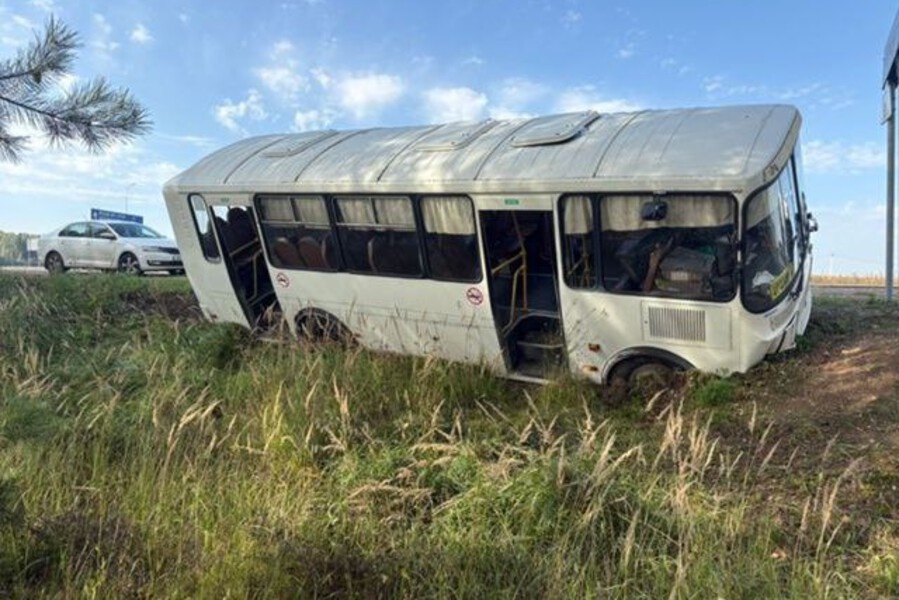    Фото: УГИБДД по РМЭ, источник: potokmedia.ru