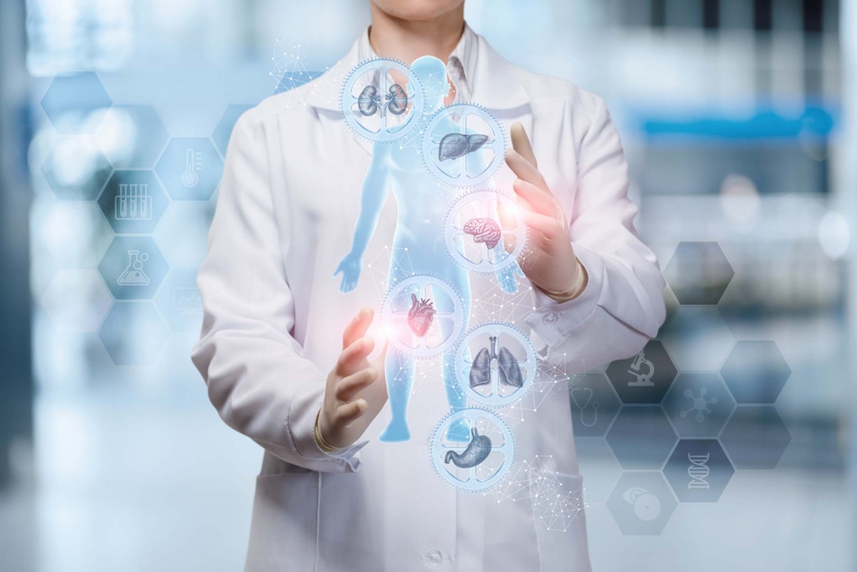    Человеческий организм состоит из различных систем, каждая из которых выполняет свою функцию. / Фото: iStock