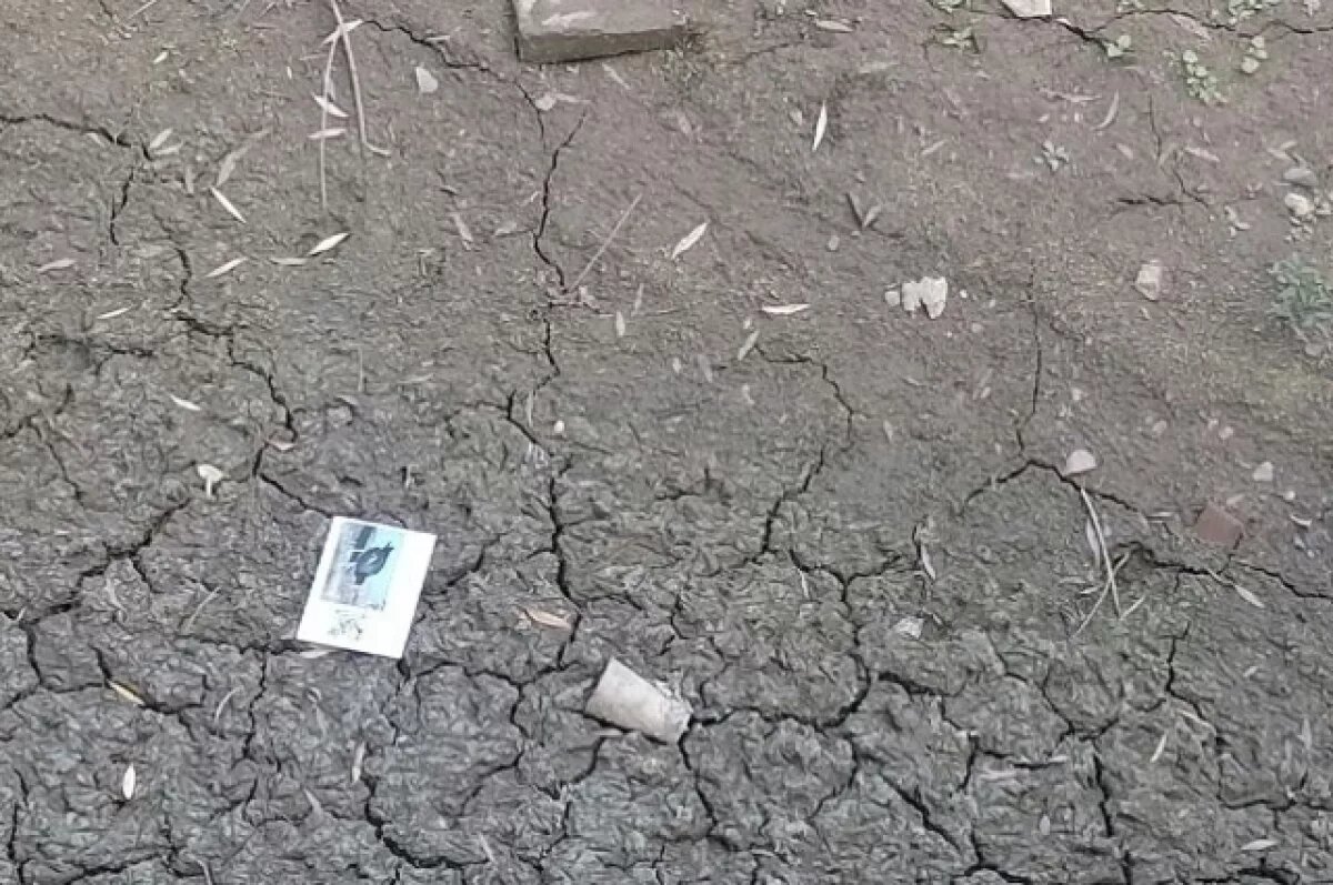    В Оренбурге озеро под «Тропой здоровья» превратилось в лужу