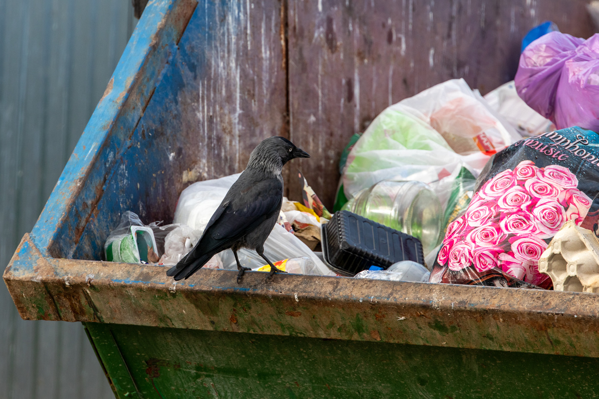 Фото: Тульская служба новостей