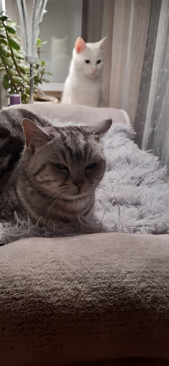 Мия Бусильдовна почевать изволят.