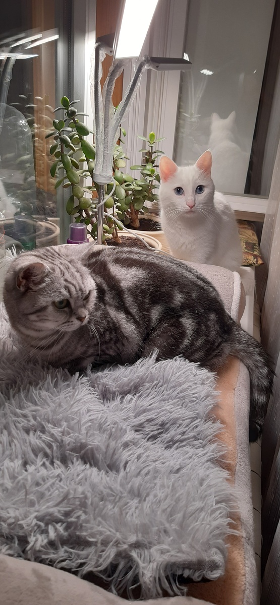 Мелкого засекли👀