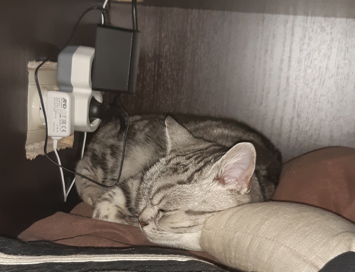 Мия Бусильдовная шкафная))