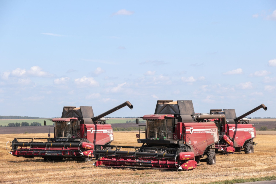    Алексей Белкин/NEWS.ru