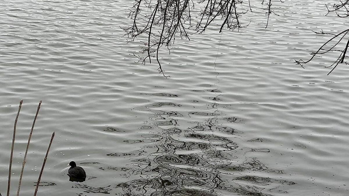    Фото: телеканал «Краснодар»