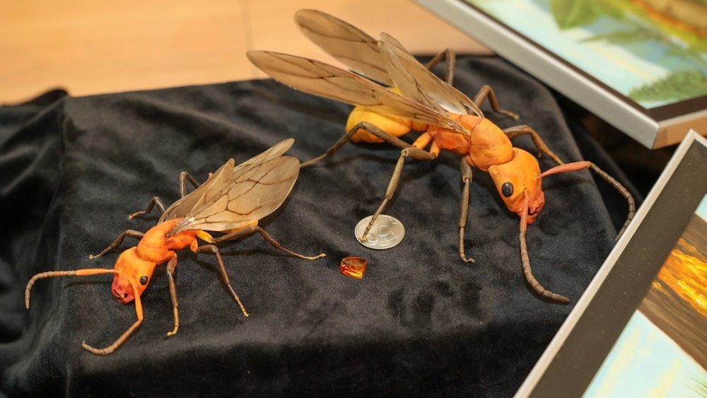     Фото: СПбГУ