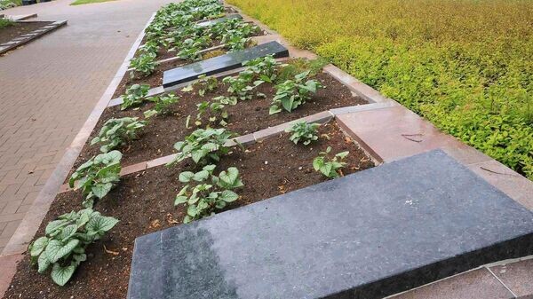    © Photo : Šiaulių miesto savivaldybė