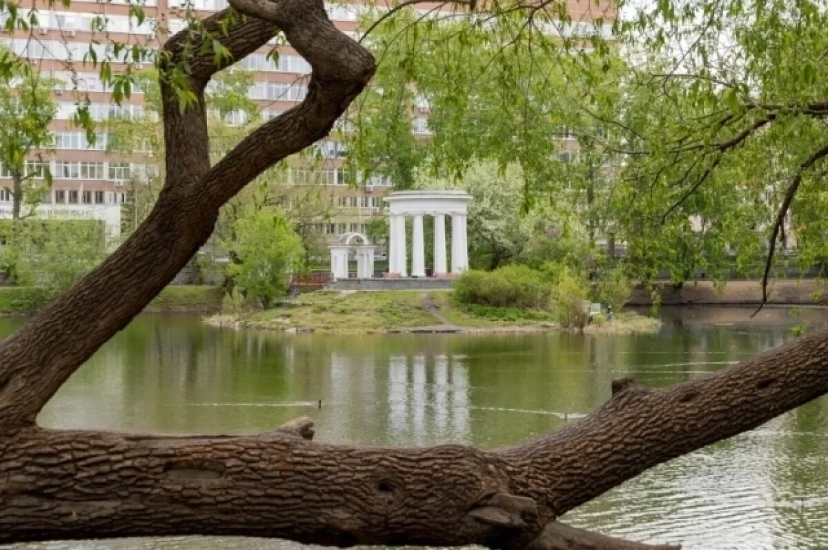    В Екатеринбурге Харитоновский сад может стать частью будущего парка