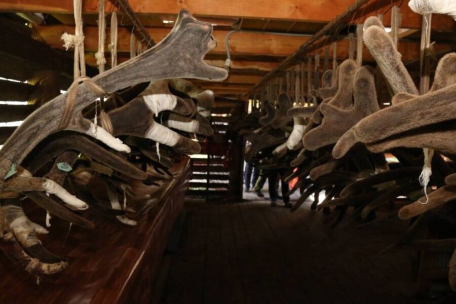    Фото: Telegram-канал Андрея Турчака, источник: bankfax.ru