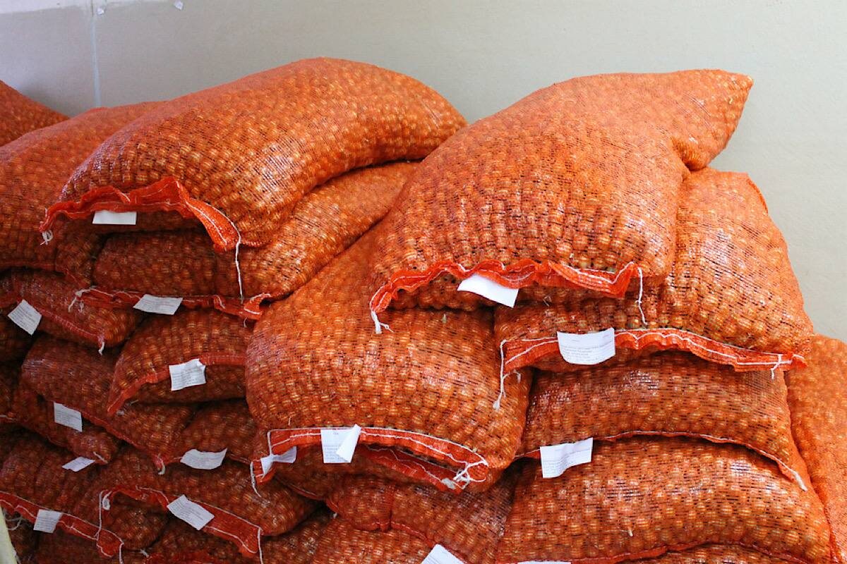    Фото: пресс-служба Россельхозцентра