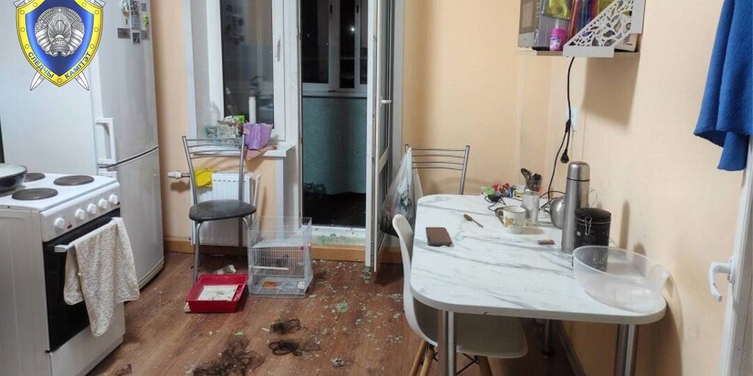 В Могилеве мужчина избил сожительницу и сбросил ее со второго этажа