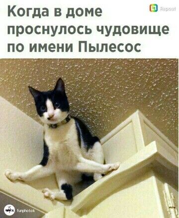 фото из интернета