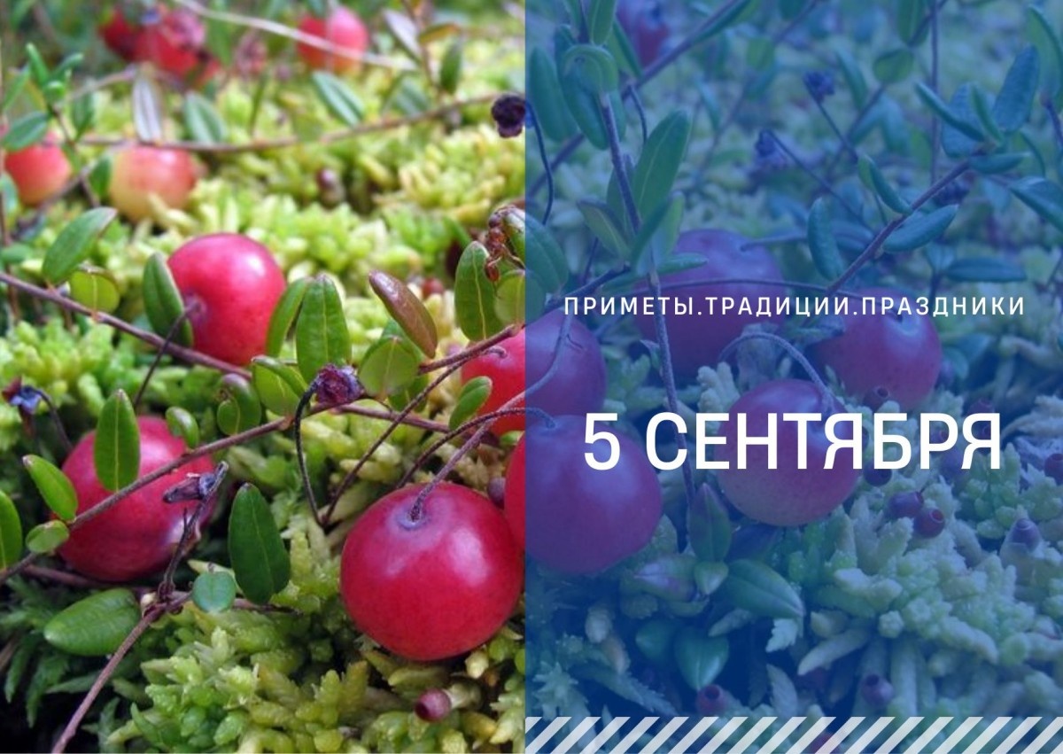   ГТРК "Ставрополье"