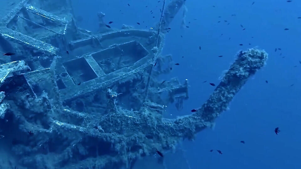 Фото: © Кадр из программы "Невероятно интересные истории", РЕН ТВ