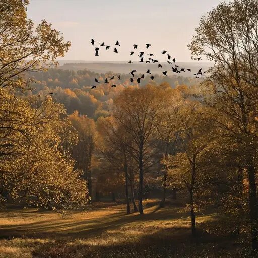   Приметы сентября для садоводов и огородников Мария Казённова