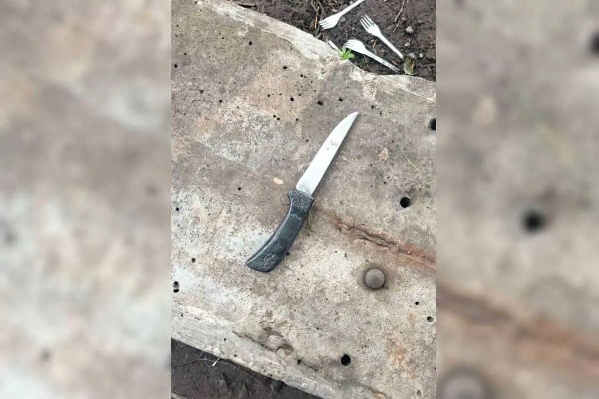    Фото: пресс-служба ГУ Росгвардии по Петербургу и Ленобласти