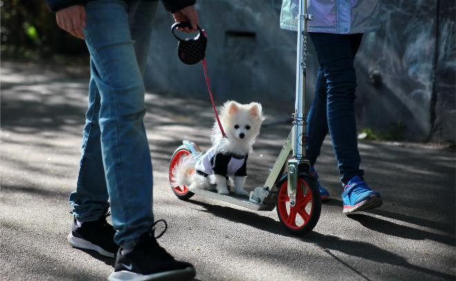    © Анастасия Илюшина / ЛенТВ24