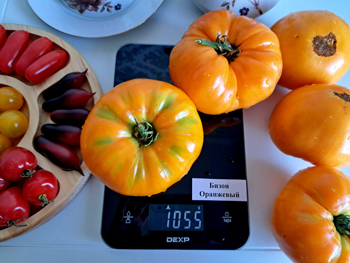 ЛИСТАЙТЕ ВПРАВО