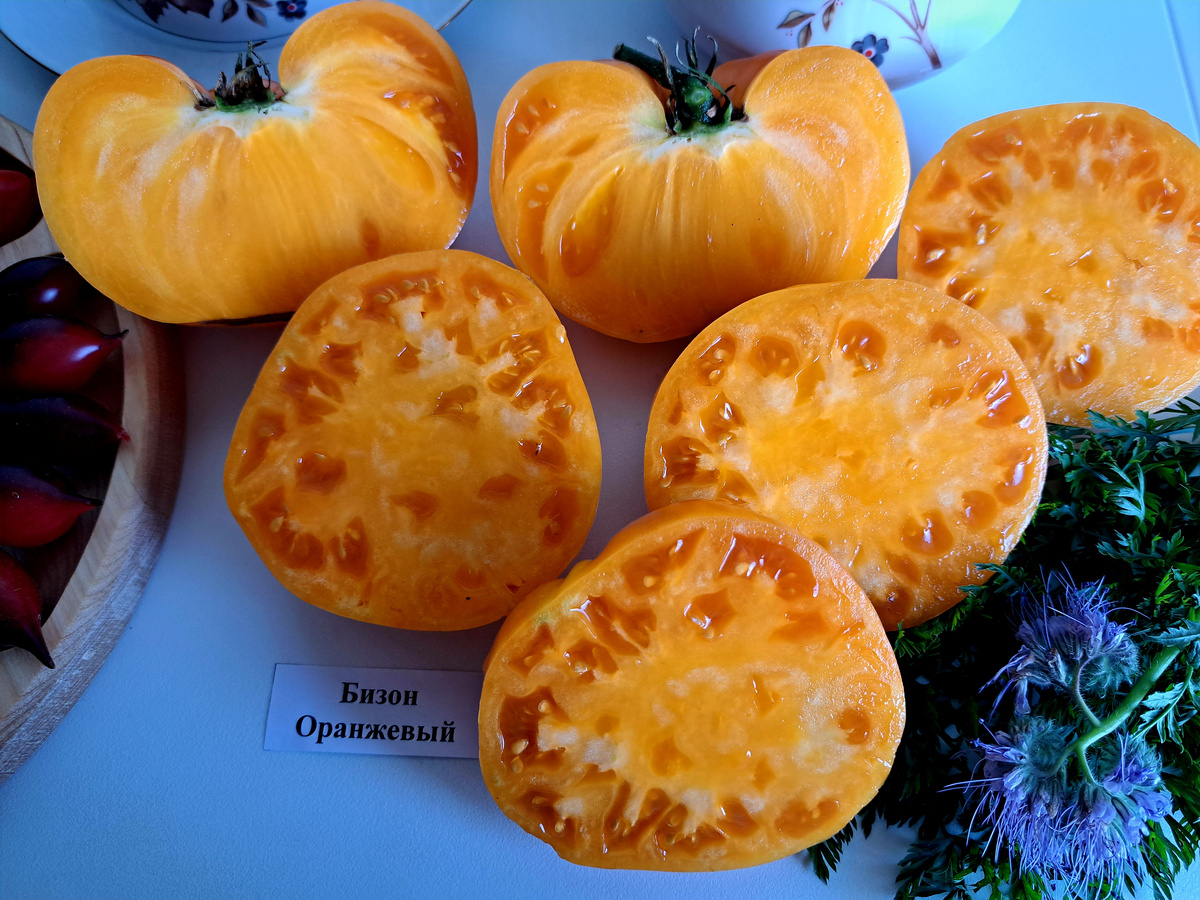 ЛИСТАЙТЕ ВПРАВО