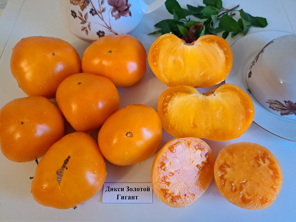 ЛИСТАЙТЕ ВПРАВО