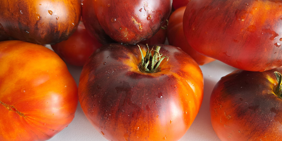 КАТАЛОГ томатов на 2026 г. №4