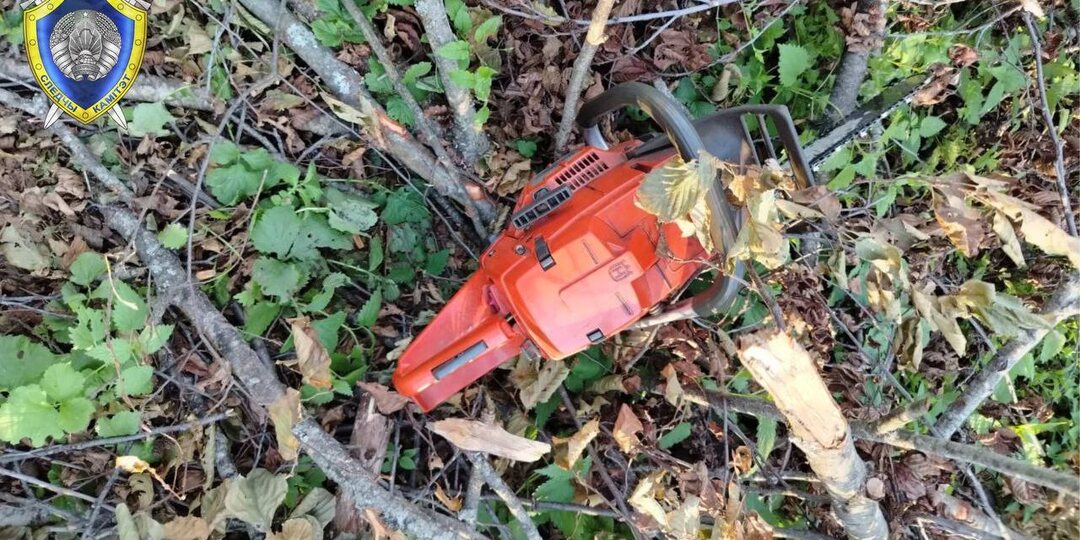 На Гомельщине погиб помощник вальщика леса