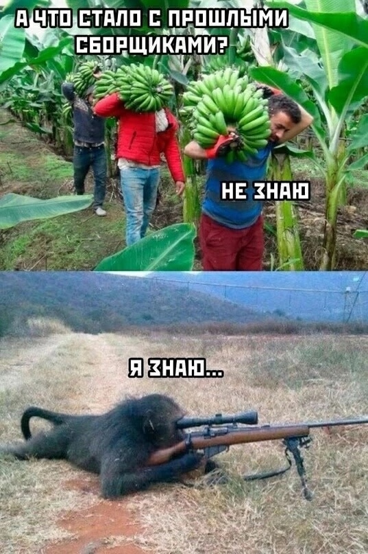 Источник: соцсети