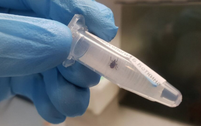    Telegram-канал комздрава Северной столицы