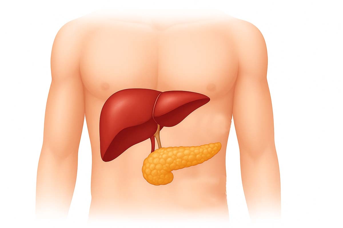 Иллюстрация сгенерирована нейросетью