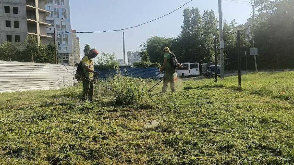    Фото пресс-службы администрации Краснодара