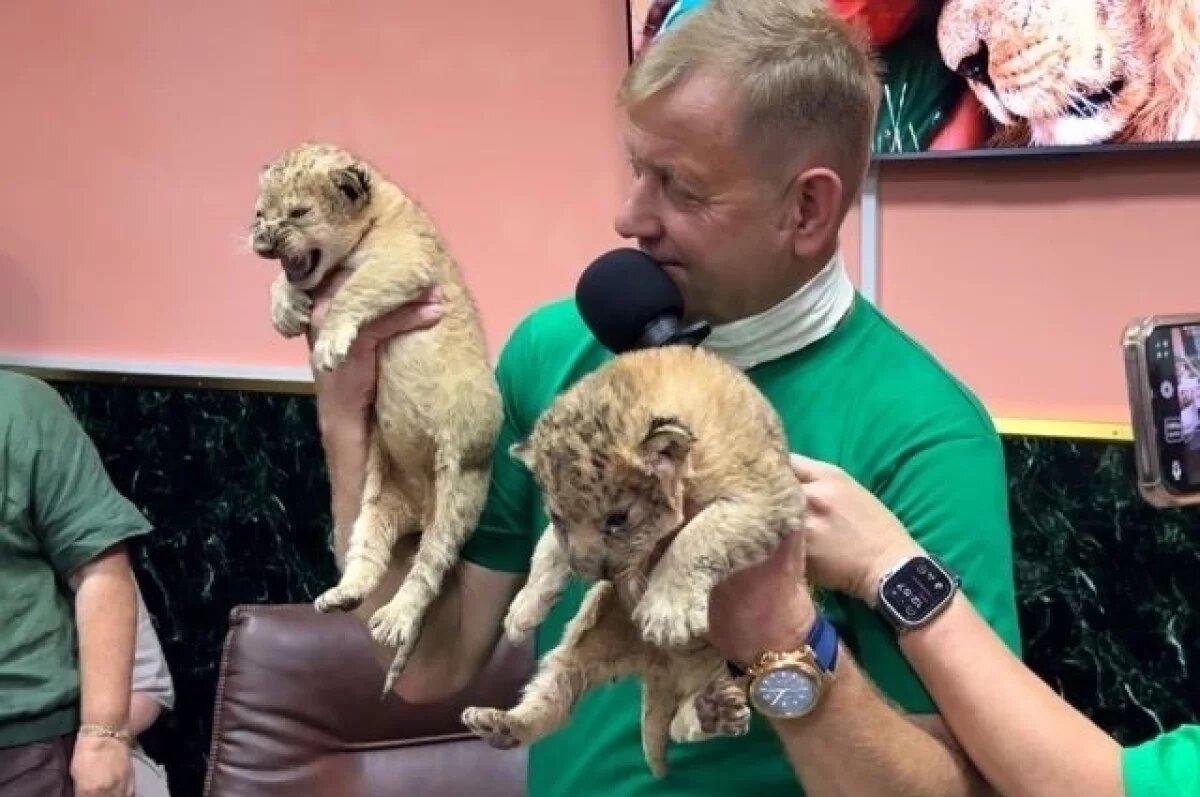    Директор «Тайгана» Зубков: «Считаю, что мой голос восстановился на 90%»