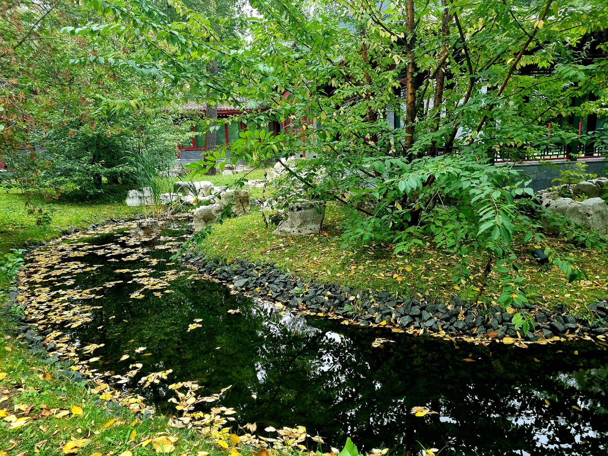 Парк «Хуамин». Фото автора статьи.
