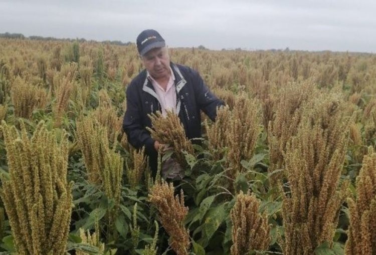    Фото: Новоусманский районный отдел филиала ФГБУ «Россельхозцентр» по Воронежской области