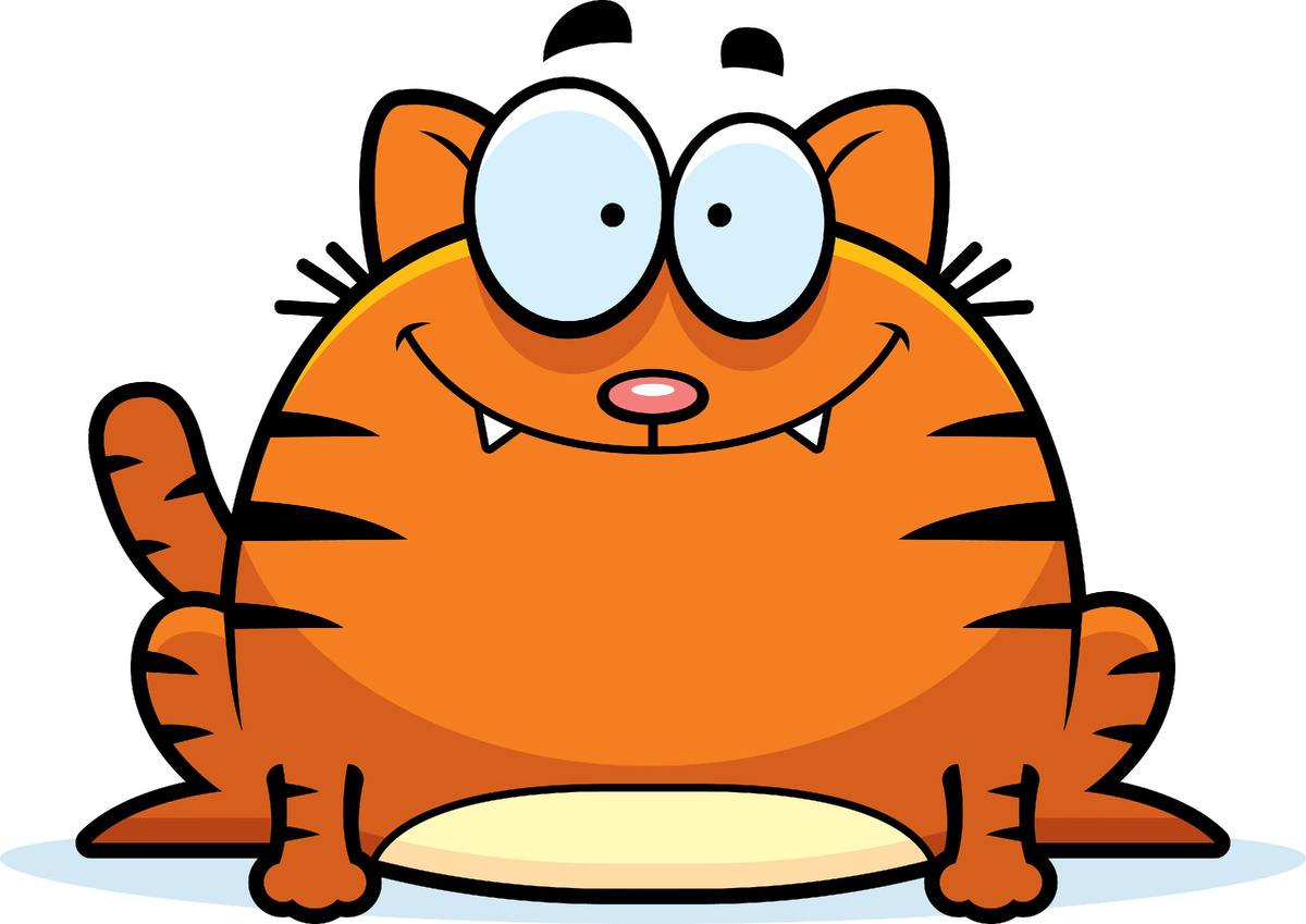 Фото из интернета.