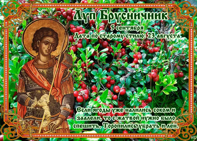 свобод.источник