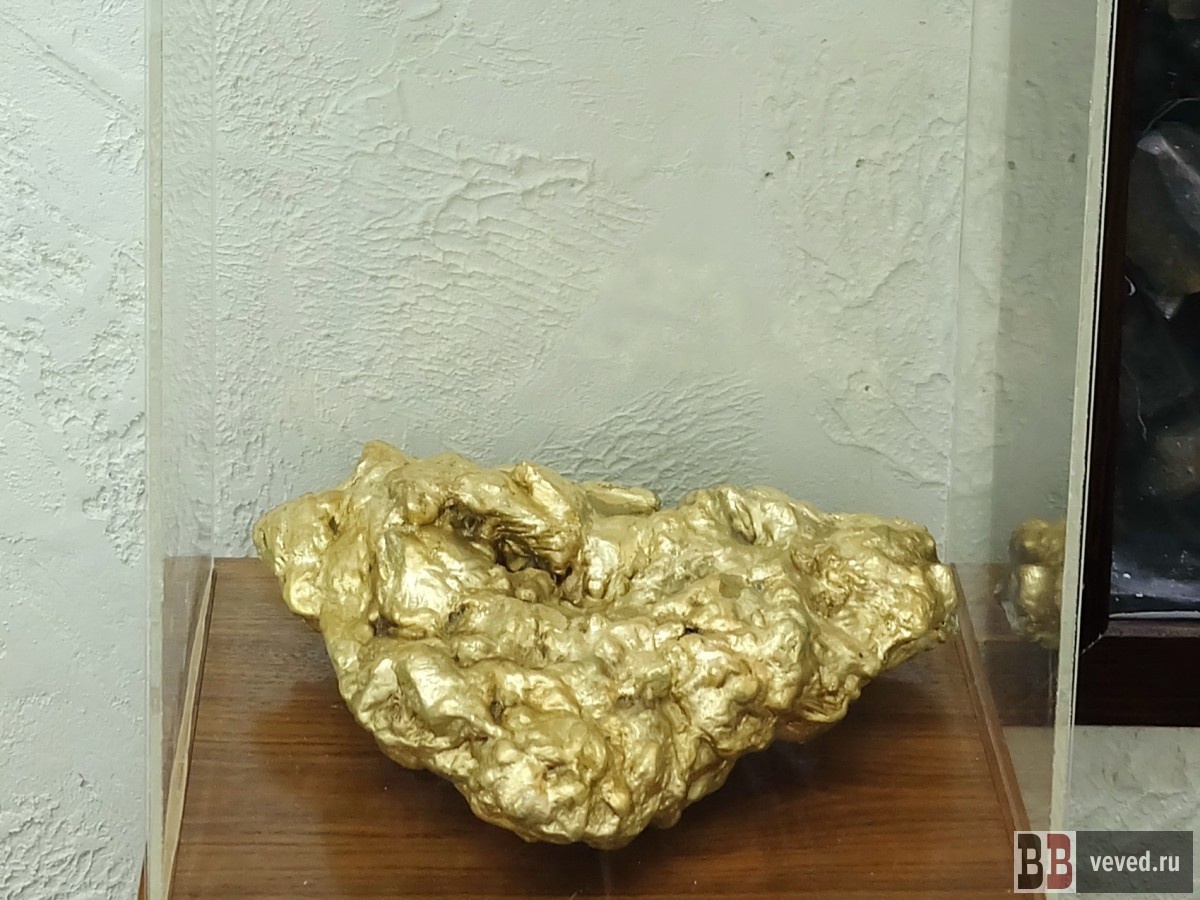     Фото: Владислав Постников / Вечерние ведомости