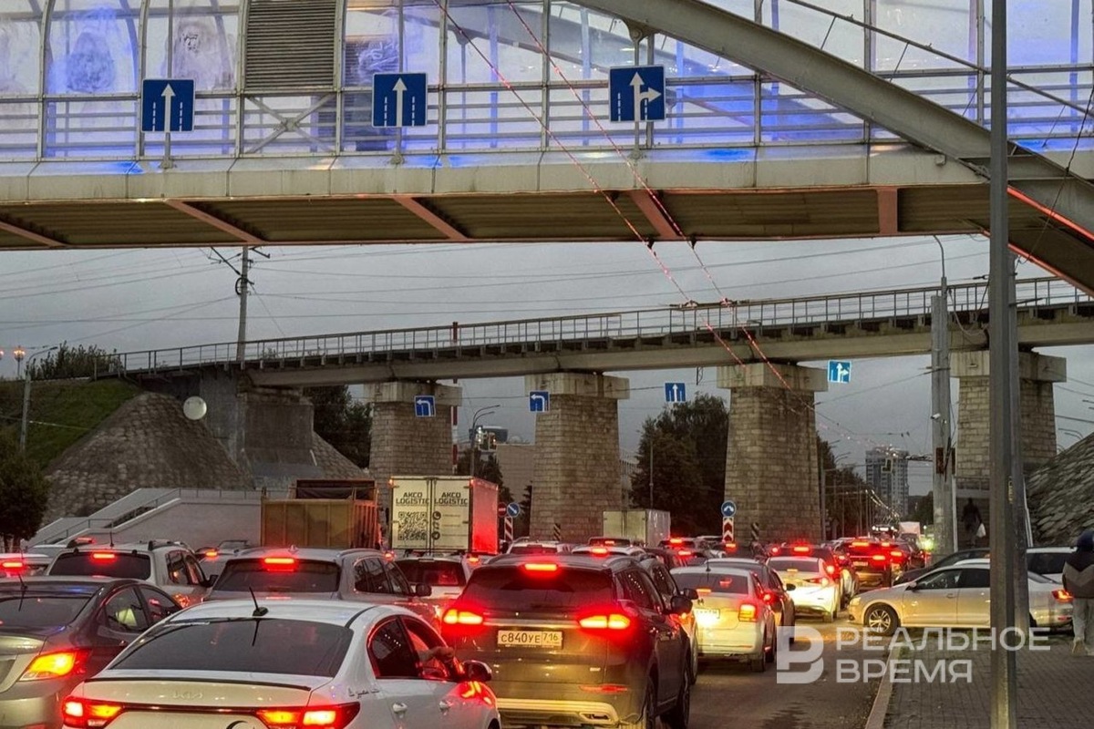   Дарья Пинегина / realnoevremya.ru