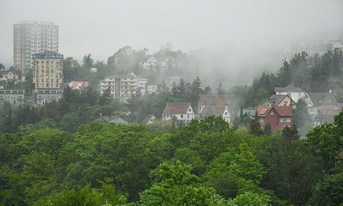    Фото пресс-службы администрации Сочи