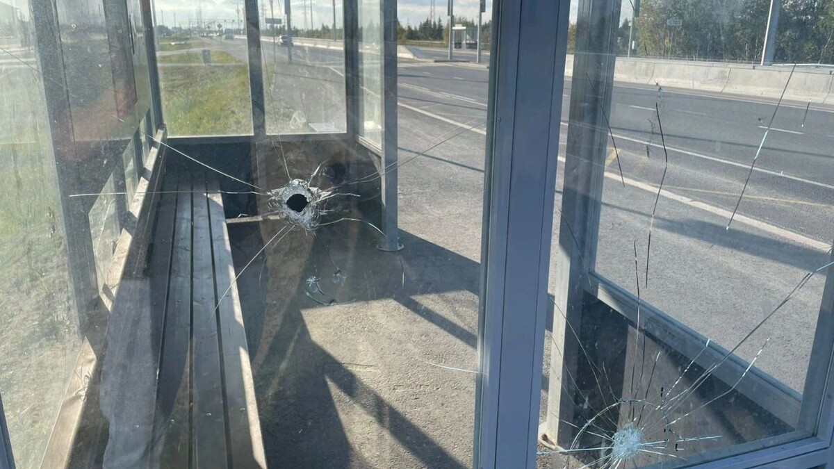    Фото: t.me/dobigz