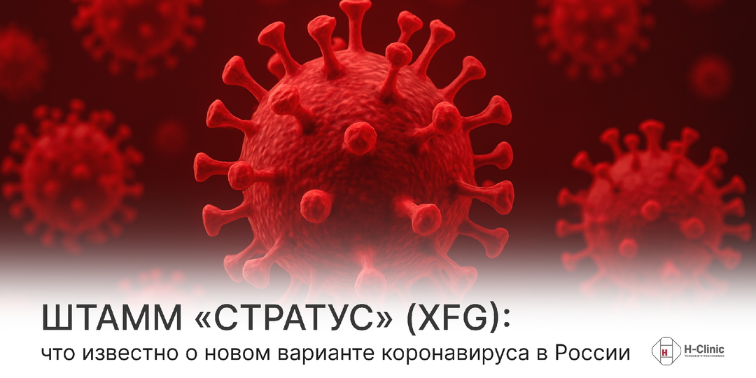 Штамм «Стратус» (XFG): что известно о новом варианте коронавируса в России