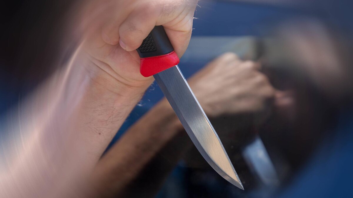    Фото: IMAGO/globallookpress.com