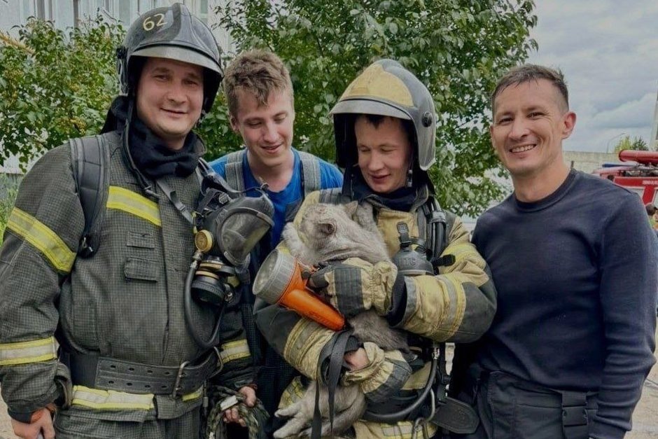   предоставлено ГУ МЧС по Татарстану